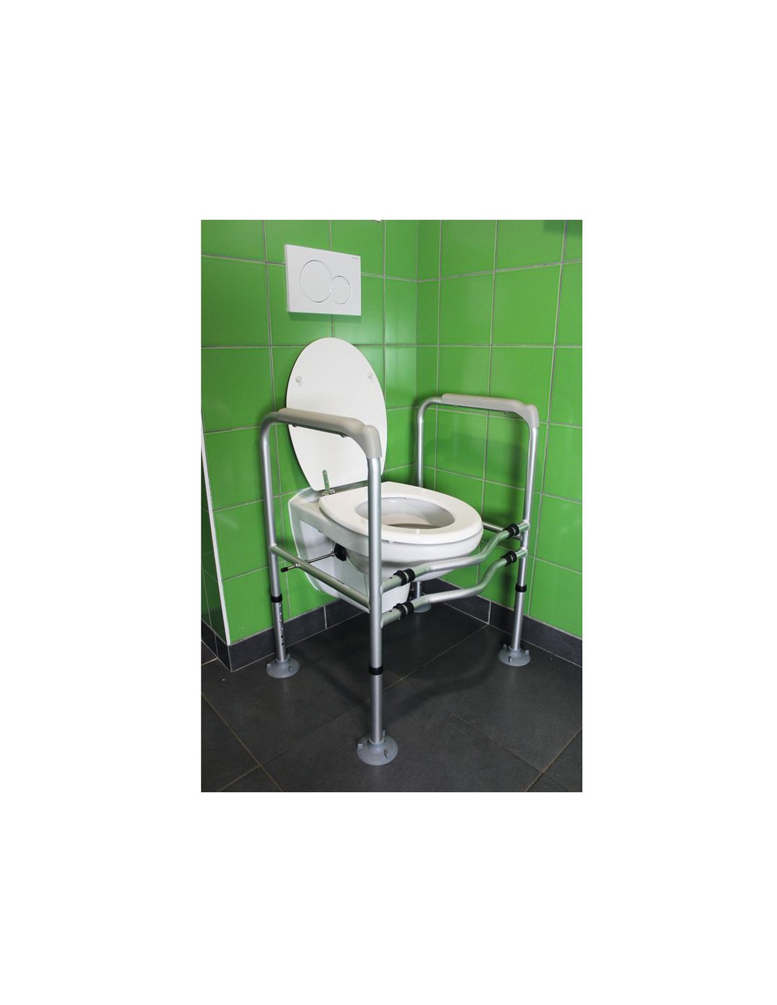 Accoudoirs de toilettes Bermudes