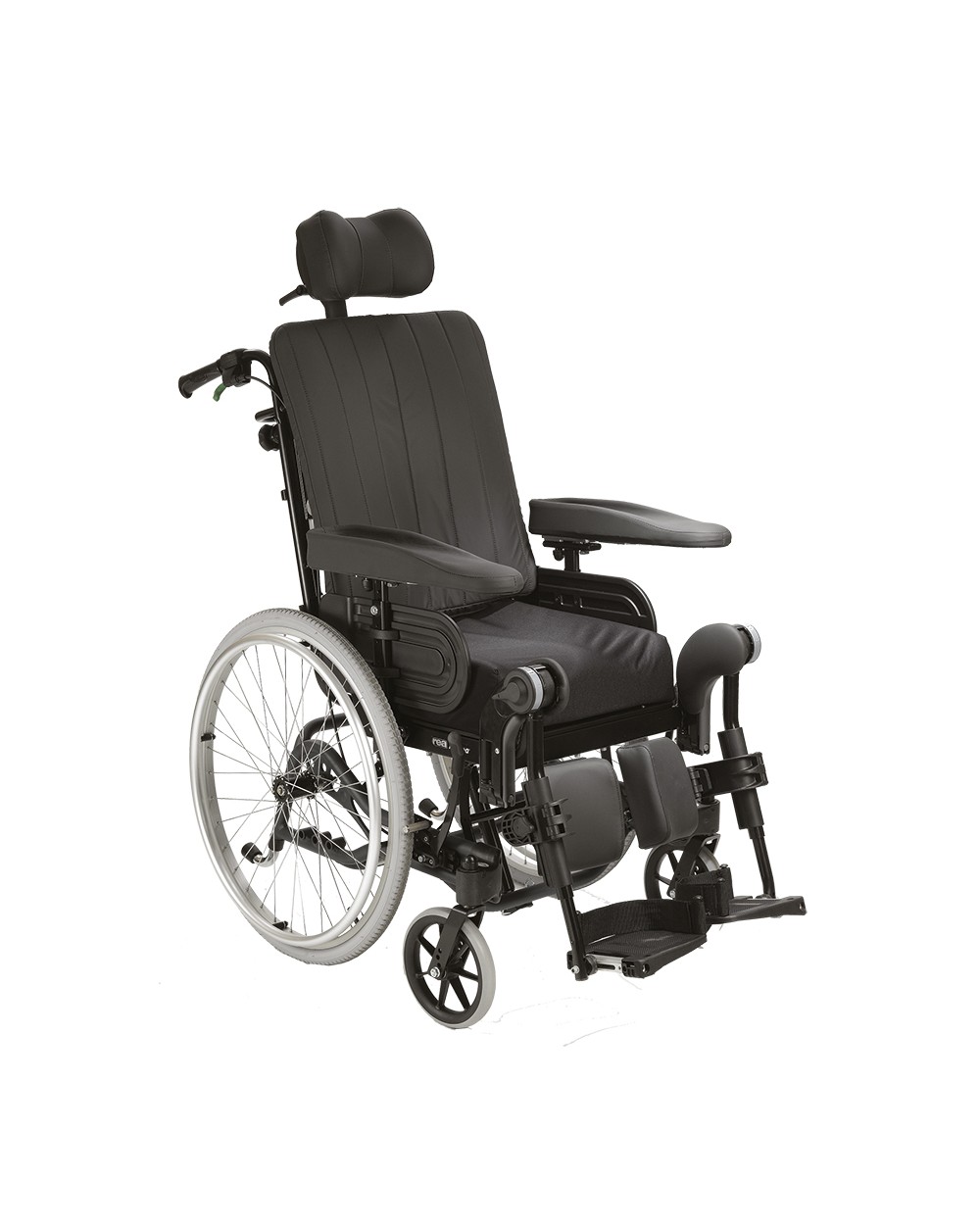 Rea® Azalea® Family