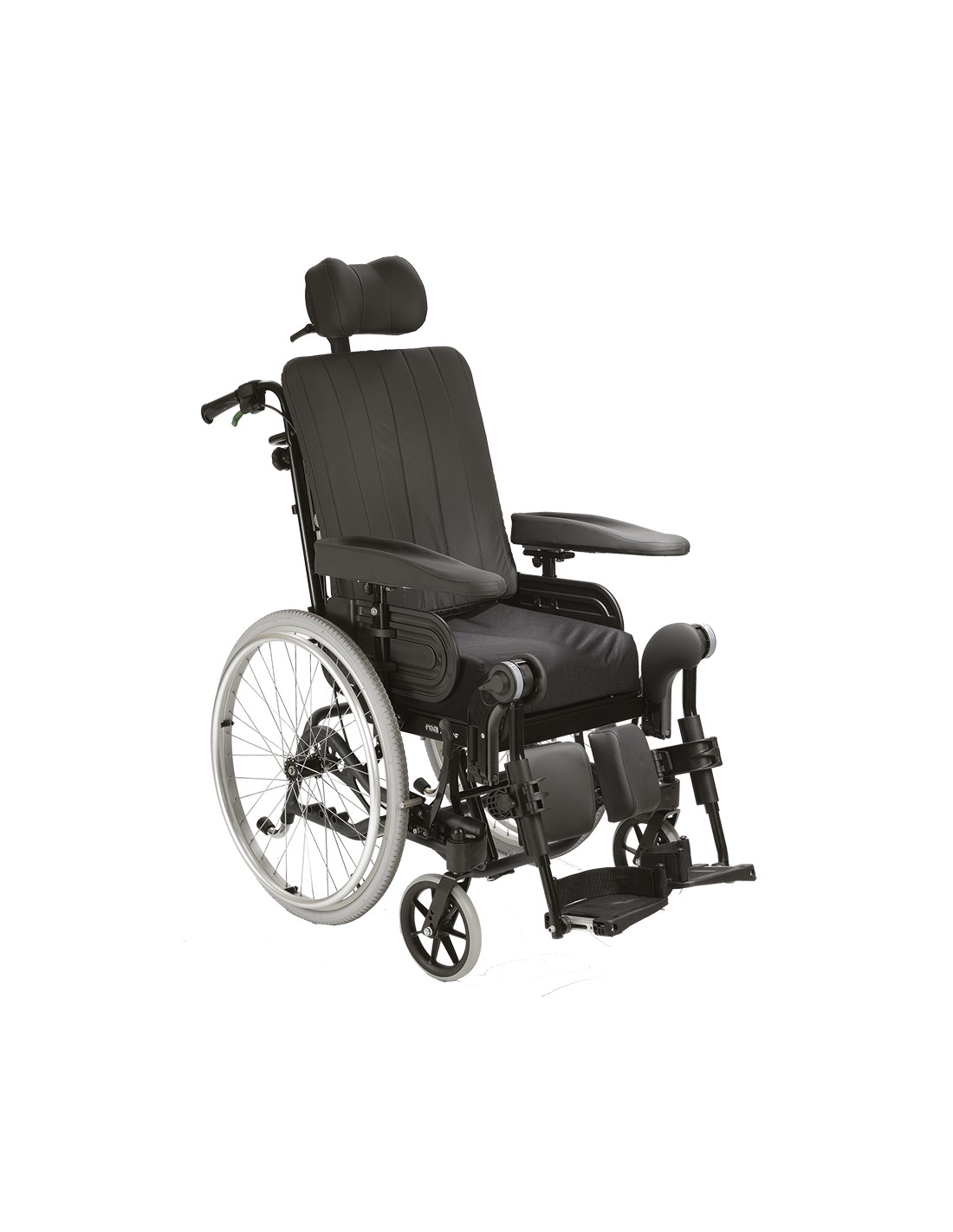 Rea® Azalea® Family