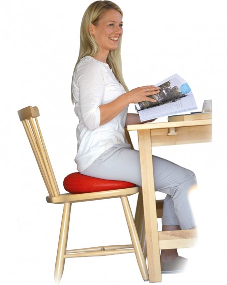 Coussin ergonomique Sitfit® Plus